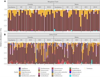 The Gut Microbial Composition Is Species-Specific and Individual-Specific in Two Species of Estrildid Finches, the Bengalese Finch and the Zebra Finch